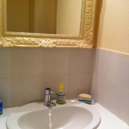 Duplex On Promenade Des 177 公寓 *