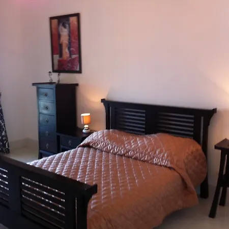 公寓 Duplex On Promenade Des 177 *